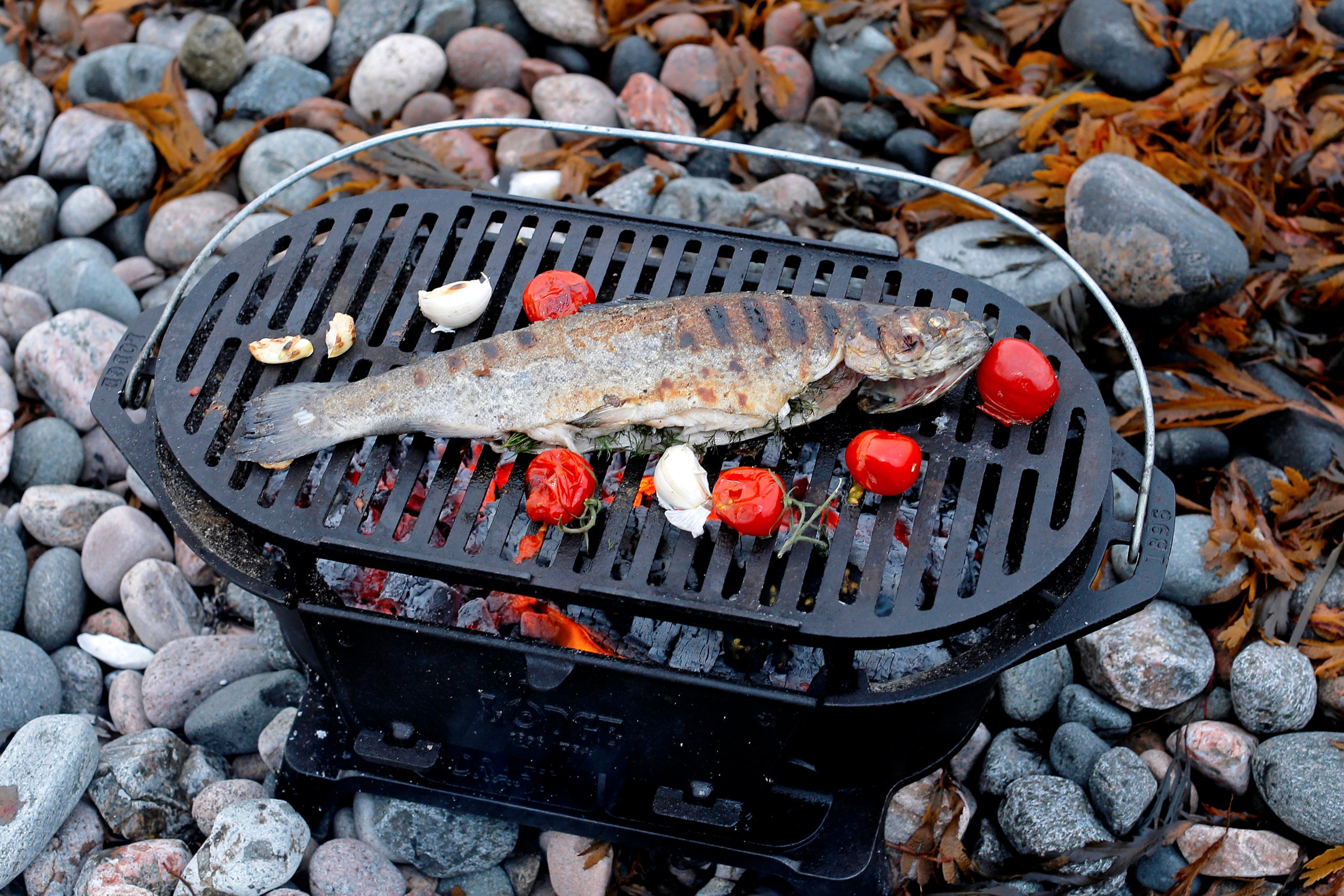 Lodge Sportman´s Grill Gjutjärn