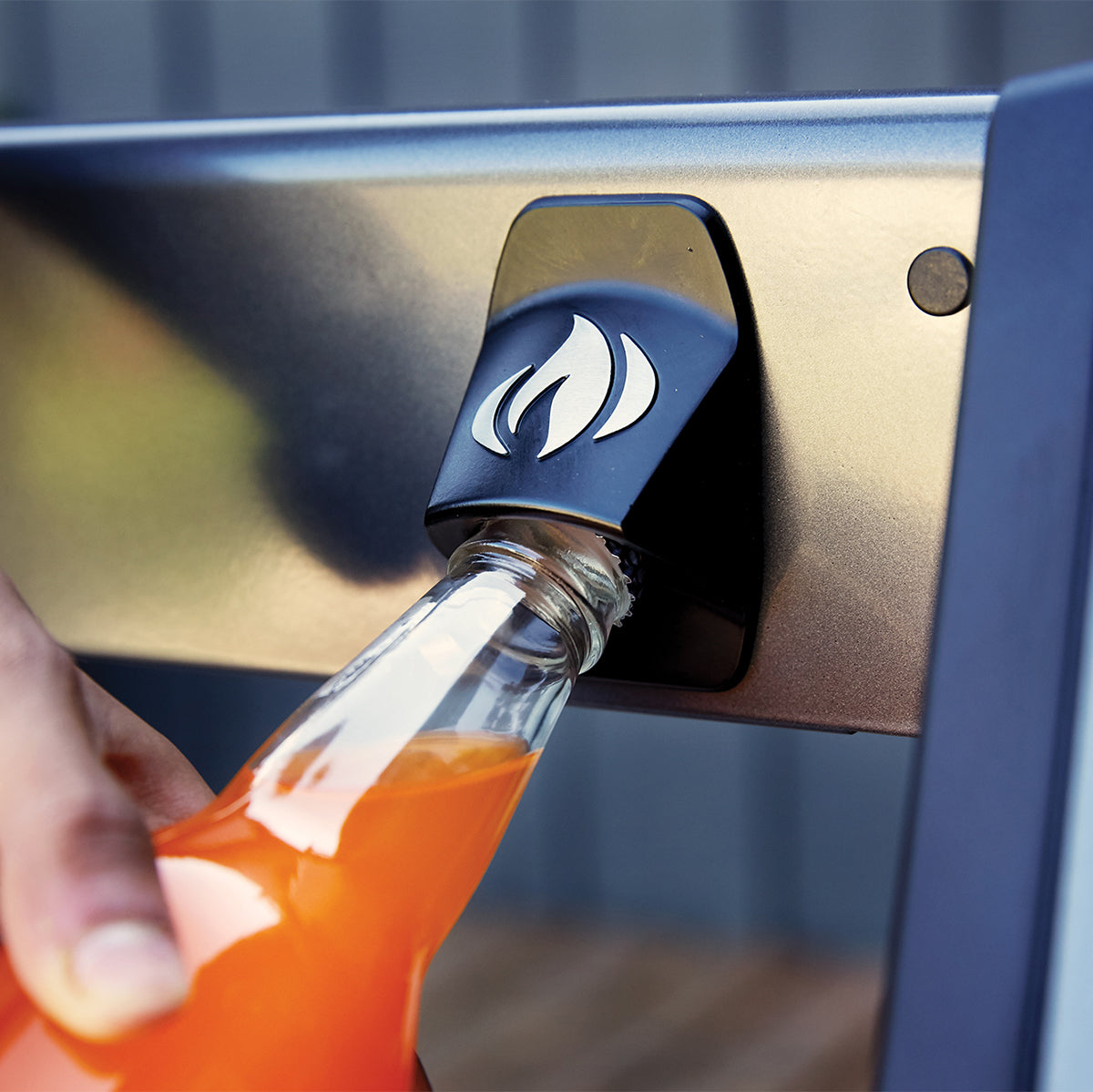 Napoleon Freestyle 425DSIB