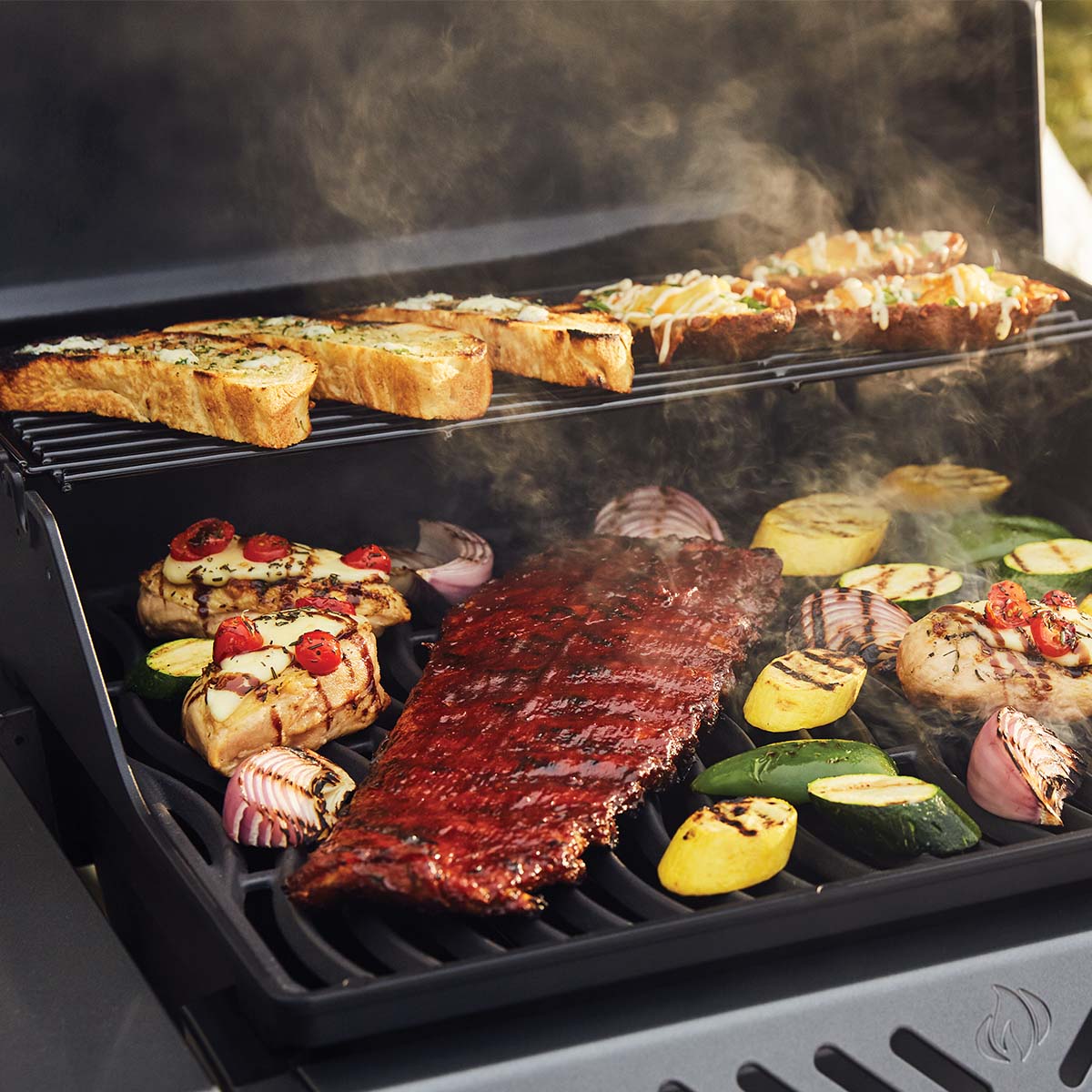 Napoleon Freestyle 365