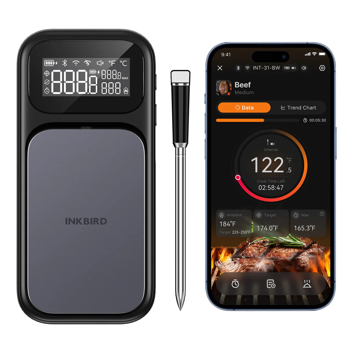Inkbird INT-31-BW Trådlös WiFi Termometer