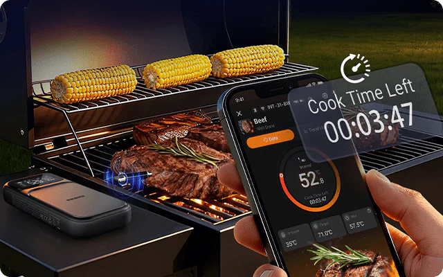 Inkbird INT-31-BW Trådlös WiFi Termometer