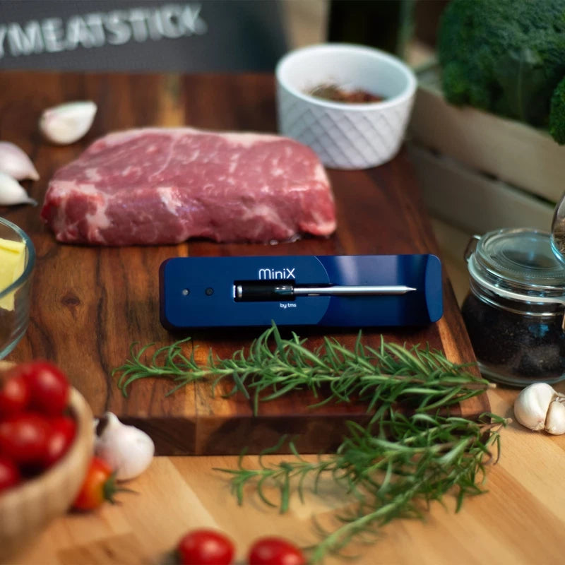 MeatStick MiniX med laddare/extender