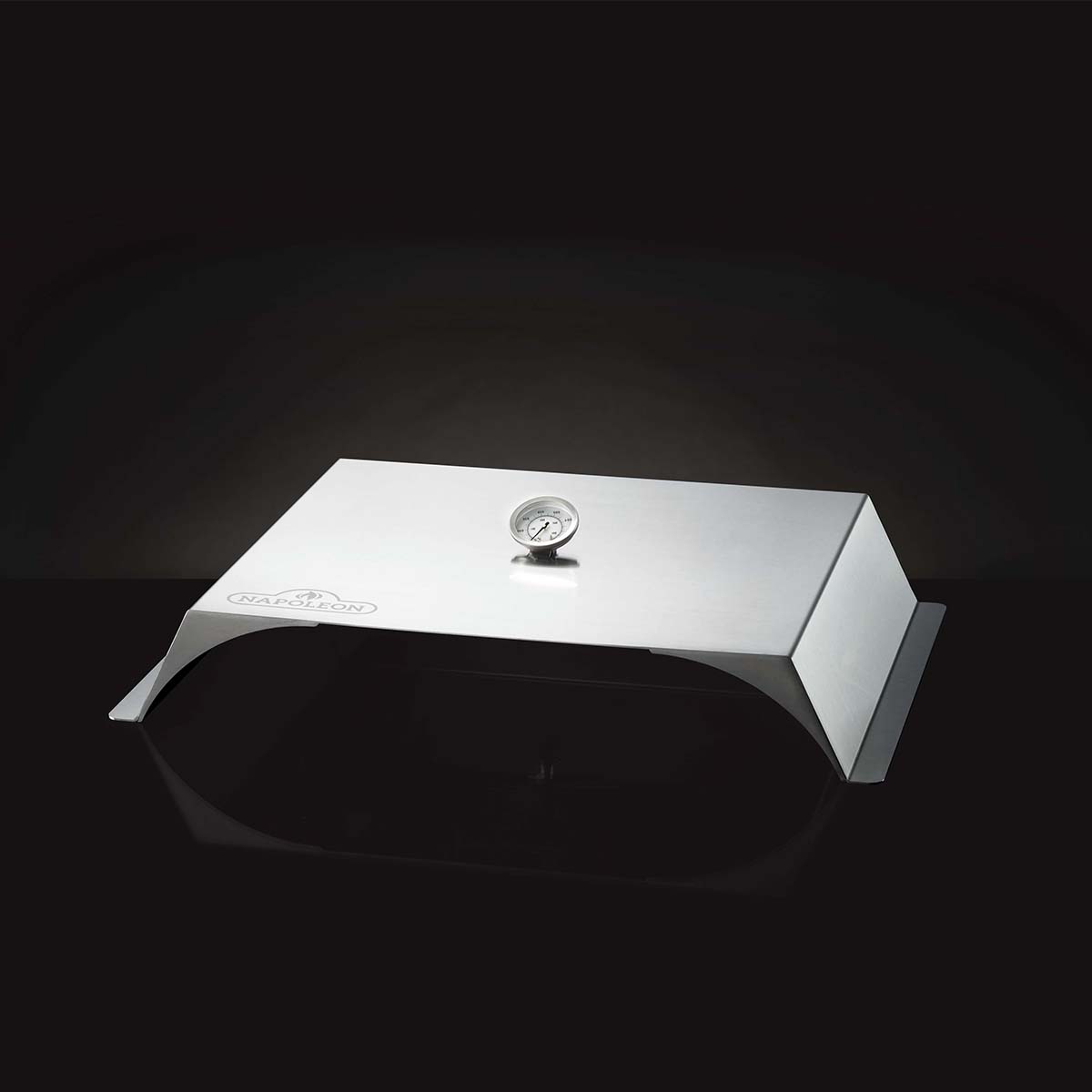 Napoleon Pizzainsats