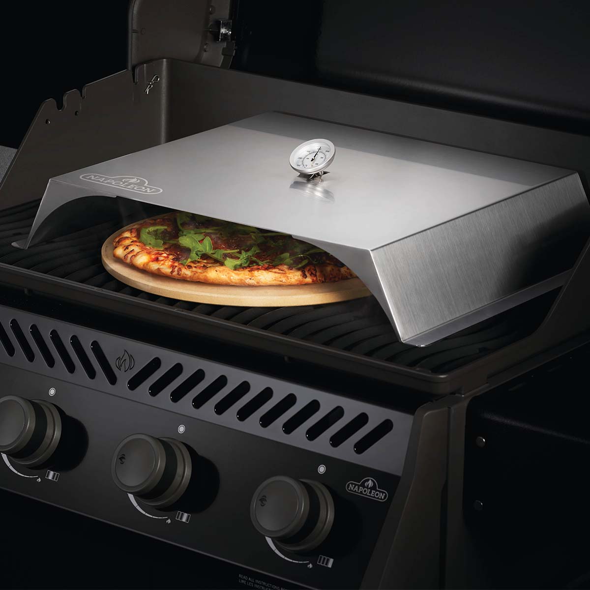 Napoleon Pizzainsats