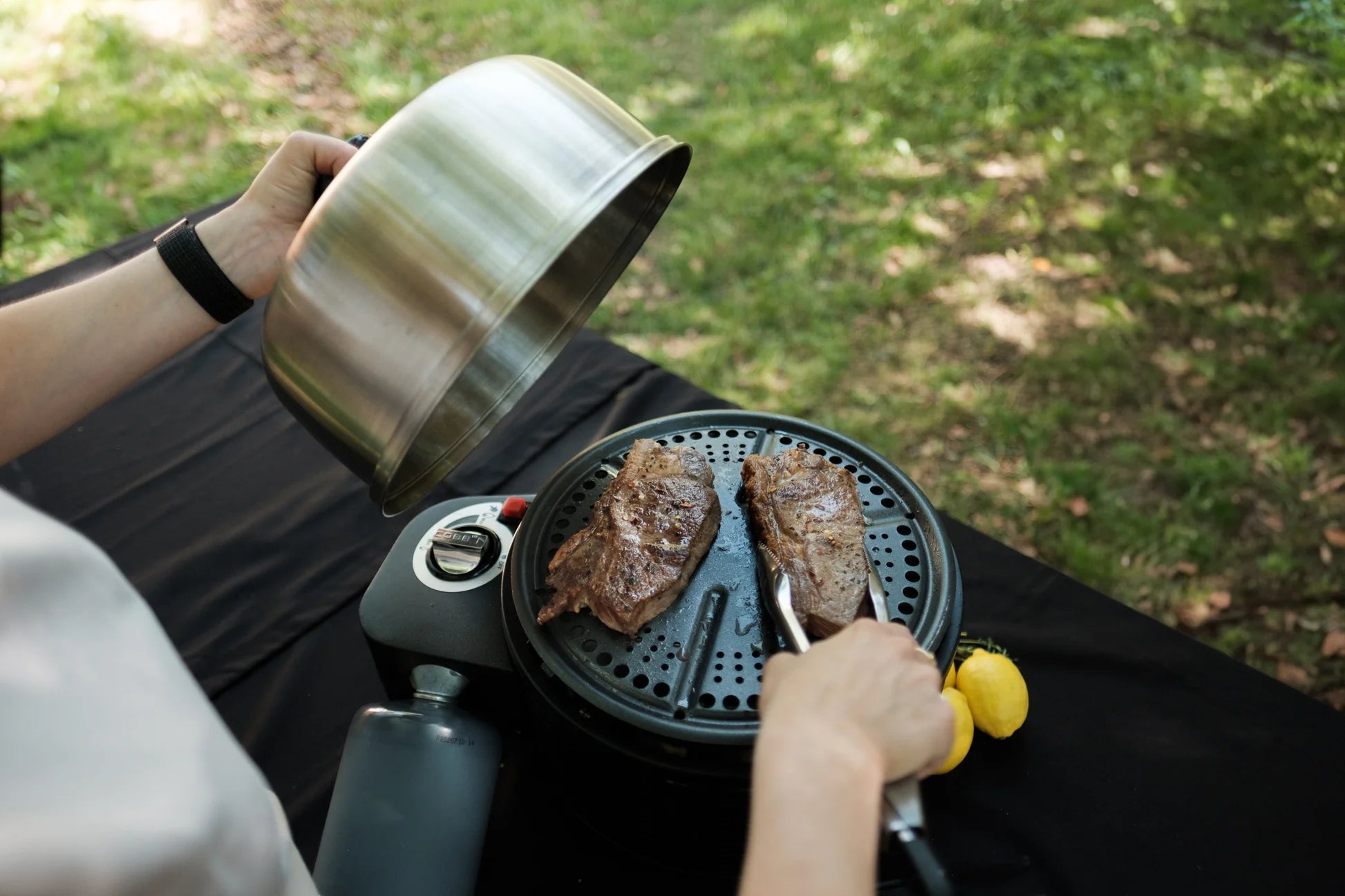 Cobb Premier Pro Gas