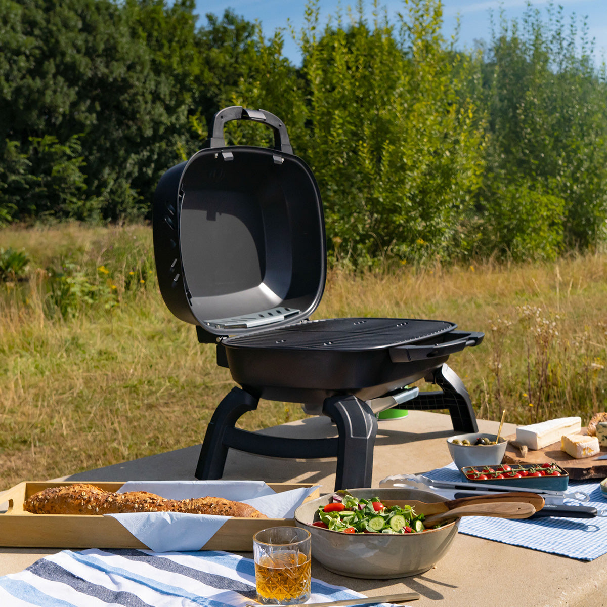 Napoleon TravelQ 240