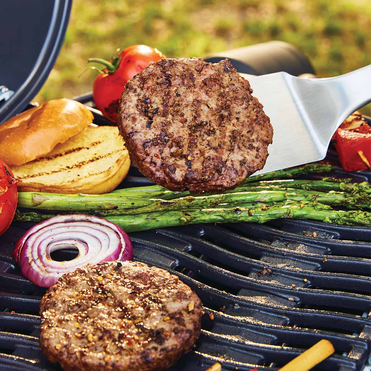 Napoleon TravelQ 240