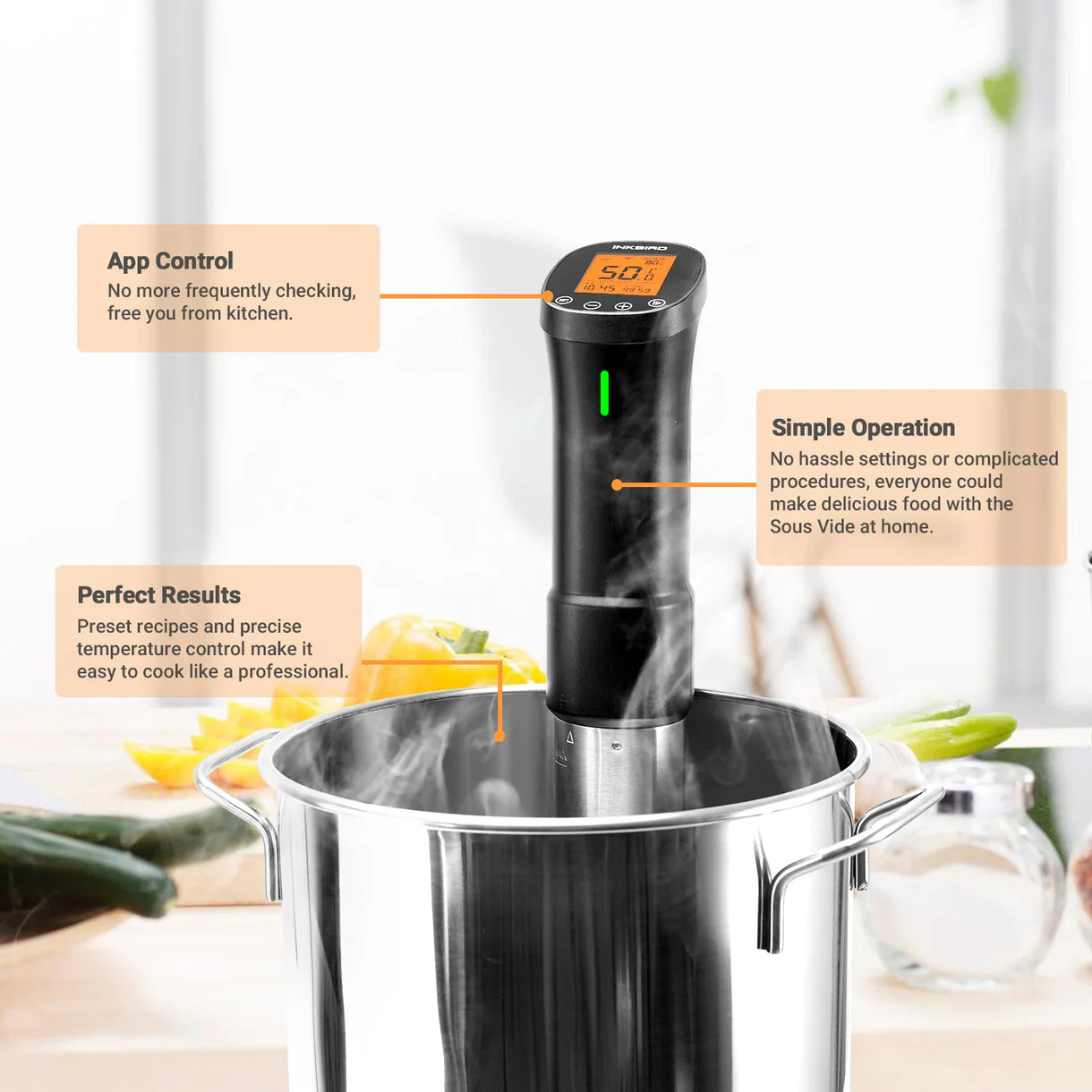 Inkbird Sous Vide ISV-200W