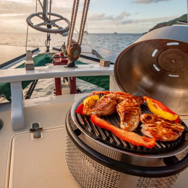 Cobb Premier Air Deluxe Kolgrill - Bild 3